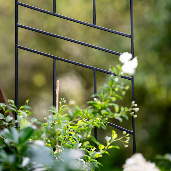 Staudenhalter aus Metall – Blumenhalter und Pflanzenstütze, 200 cm