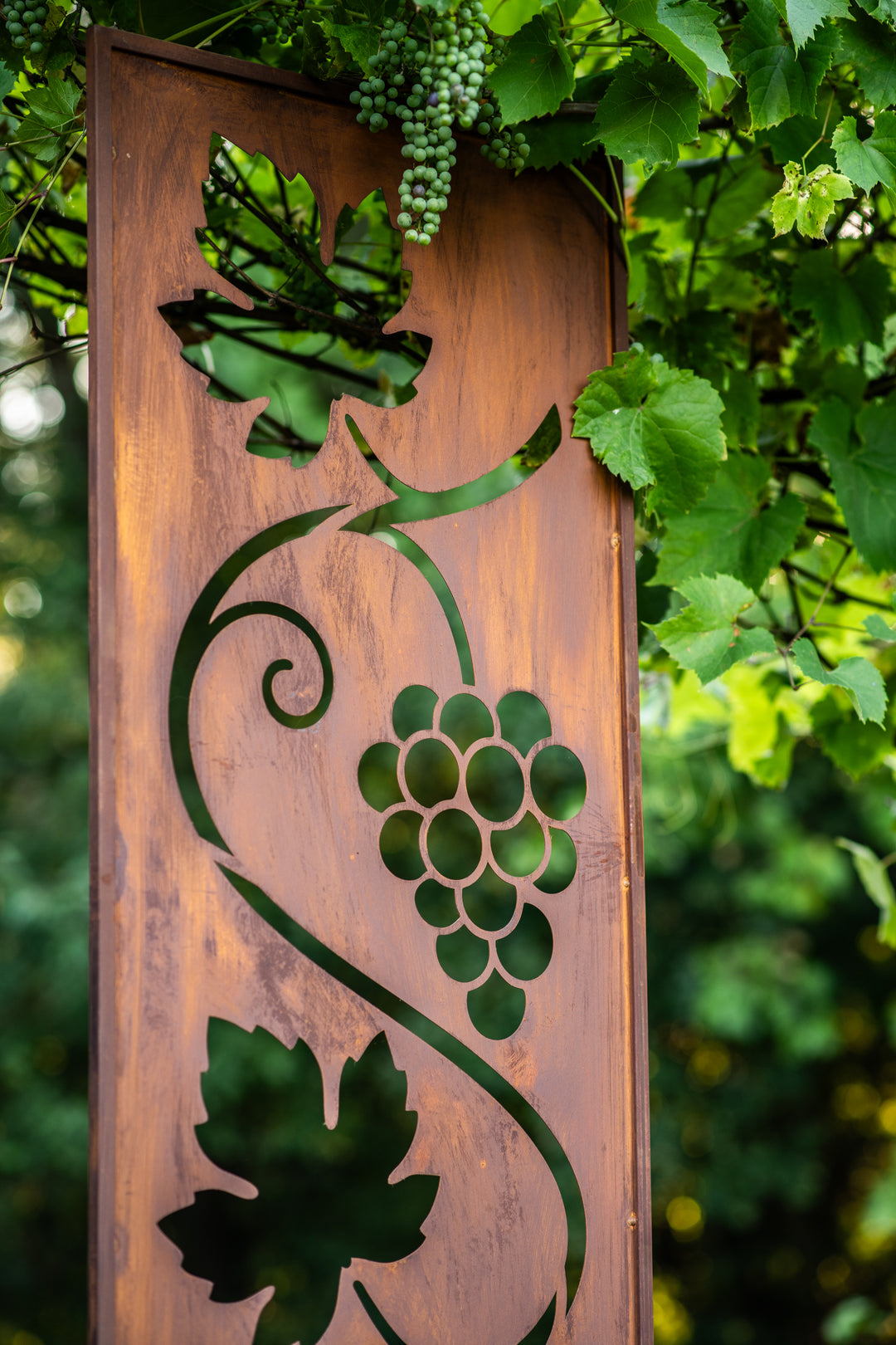 Sichtschutz Gartenpaneel Metall – Motiv Rebe, 160 × 50 cm