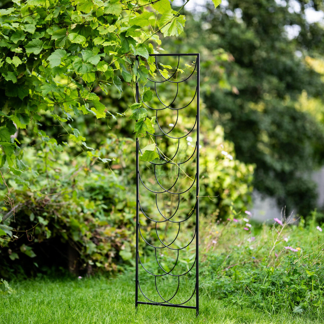 Staudenhalter aus Metall – Blumenhalter und Pflanzenstütze, 200 cm