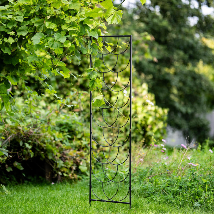 Staudenhalter aus Metall – Blumenhalter und Pflanzenstütze, 200 cm