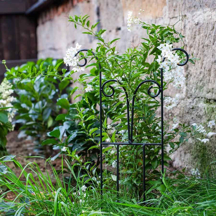 Rankgitter aus Metall – stabile Rankhilfe für Kletterpflanzen, 60 cm