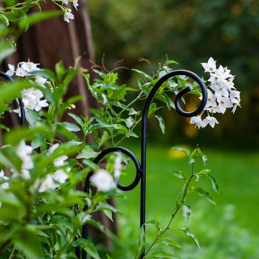 Rankgitter aus Metall – stabile Rankhilfe für Kletterpflanzen, 60 cm