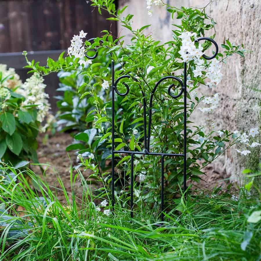 Rankgitter aus Metall – stabile Rankhilfe für Kletterpflanzen, 60 cm