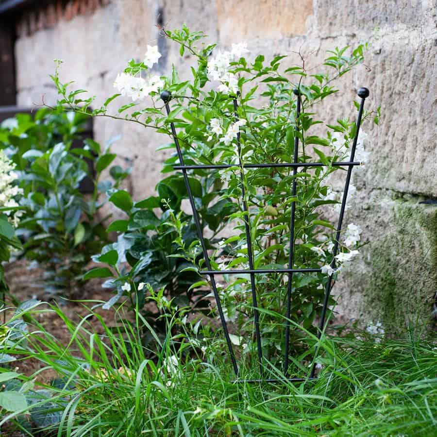 Rankgitter aus Metall – stabile Rankhilfe für Kletterpflanzen, 60 cm