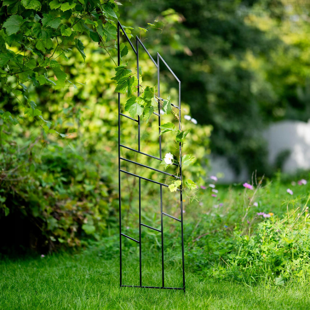 Staudenhalter aus Metall – Blumenhalter und Pflanzenstütze, 200 cm
