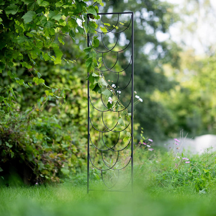 Staudenhalter aus Metall – Blumenhalter und Pflanzenstütze, 200 cm