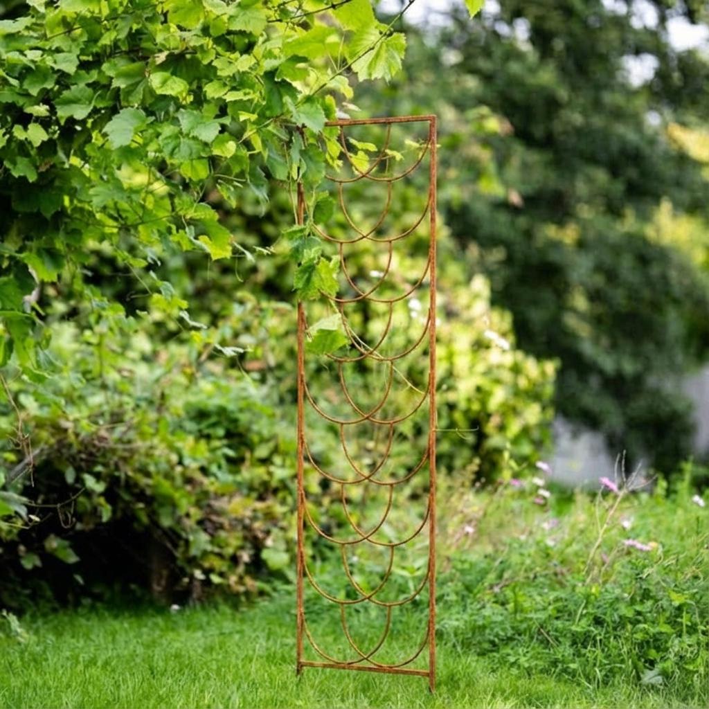 Staudenhalter aus Metall – Blumenhalter und Pflanzenstütze, 200 cm
