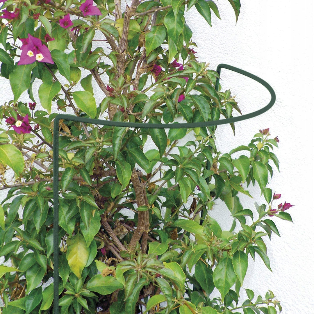 Pflanzenstütze aus Metall 70 cm – Pflanzenhalter für Garten, Beet und Topf Rost, Grun