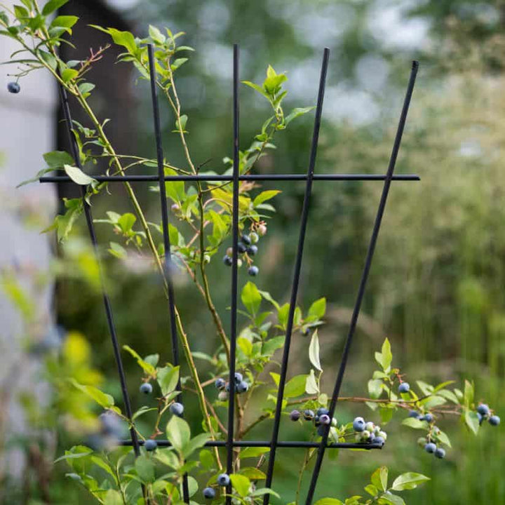 Rankgitter aus Metall – stabile Rankhilfe für Kletterpflanzen, 100 cm