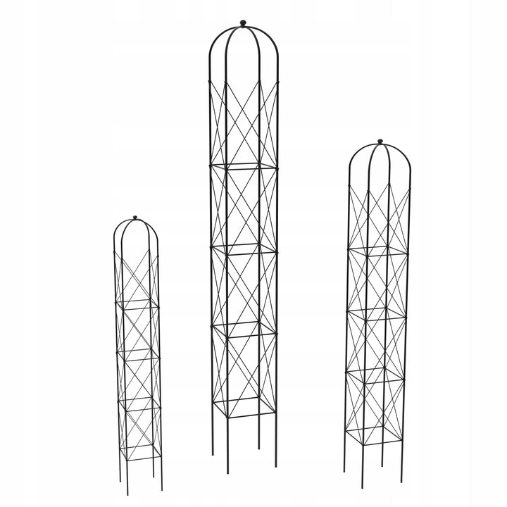 Staudenhalter aus Metall – Blumenhalter und Pflanzenstütze, Schwarz