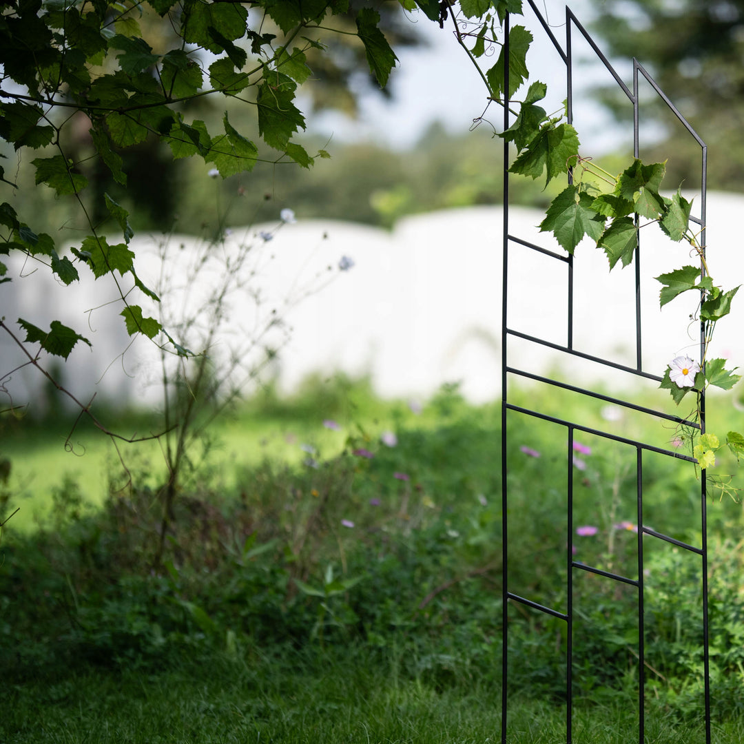 Staudenhalter aus Metall – Blumenhalter und Pflanzenstütze, 200 cm