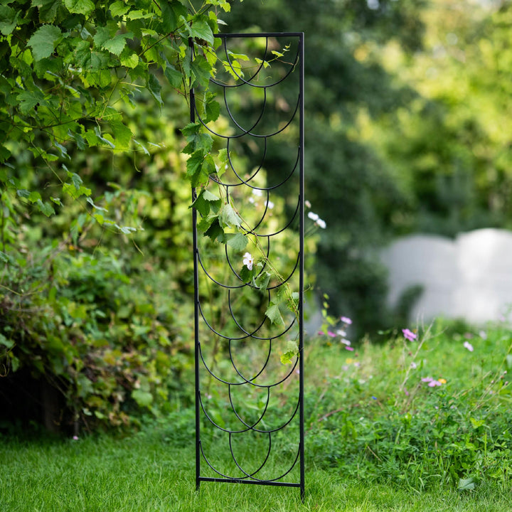 Staudenhalter aus Metall – Blumenhalter und Pflanzenstütze, 200 cm