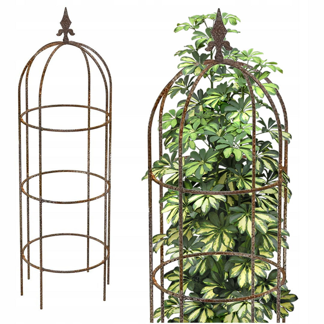 Staudenhalter aus Metall – Blumenhalter und Pflanzenstütze Rost