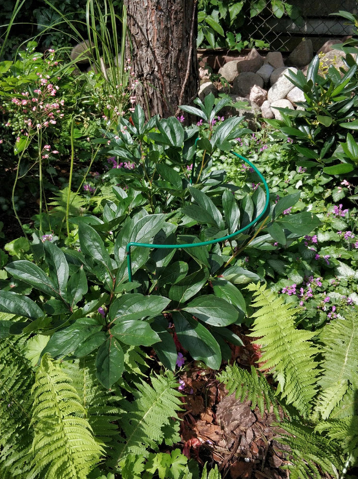 Pflanzenstütze aus Metall 70 cm – Pflanzenhalter für Garten, Beet und Topf Rost, Grun