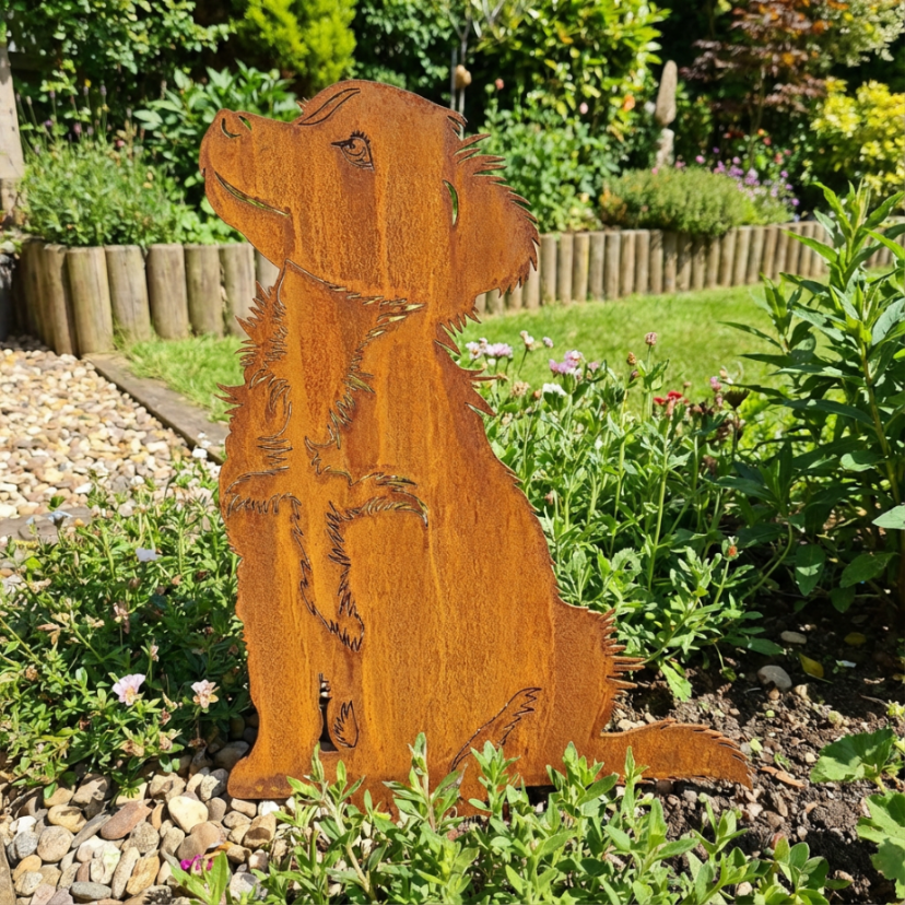 Edelrost Gartenstecker Australian Shepherd – Hundesilhouette aus Metall, 40 × 30 cm