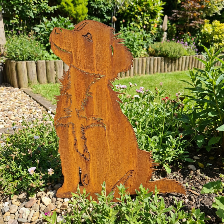 Edelrost Gartenstecker Australian Shepherd – Hundesilhouette aus Metall, 40 × 30 cm
