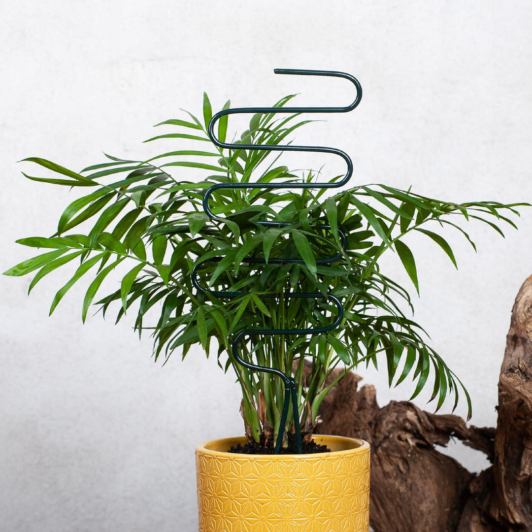 Rankgitter aus Metall – stabile Rankhilfe für Kletterpflanzen, 34 cm