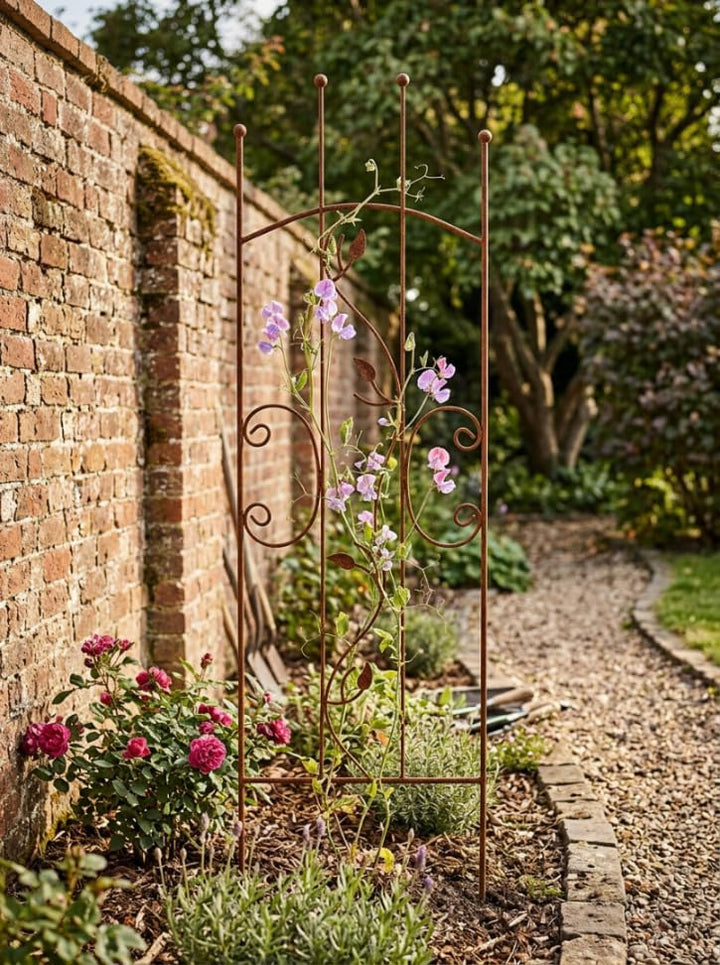 Staudenhalter 150 cm - Blumenhalter - Rankengewächs | Pflanzenstütze - Blumenstütze - Staudenstütze - Rankhilfe Strauchhalter - Rosenstütze