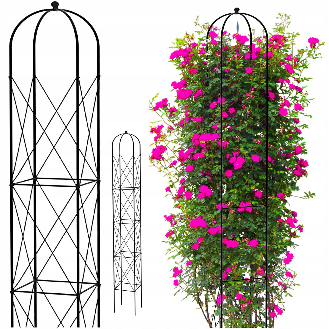 Staudenhalter aus Metall – Blumenhalter und Pflanzenstütze, Schwarz