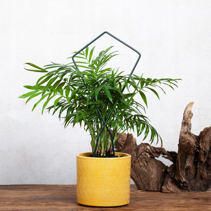 Rankgitter aus Metall – stabile Rankhilfe für Kletterpflanzen, 34 cm