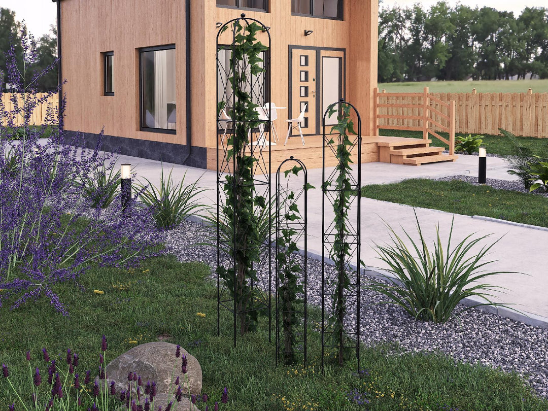 Staudenhalter aus Metall – Blumenhalter und Pflanzenstütze, Schwarz