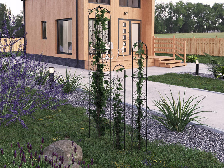 Staudenhalter aus Metall – Blumenhalter und Pflanzenstütze, Schwarz
