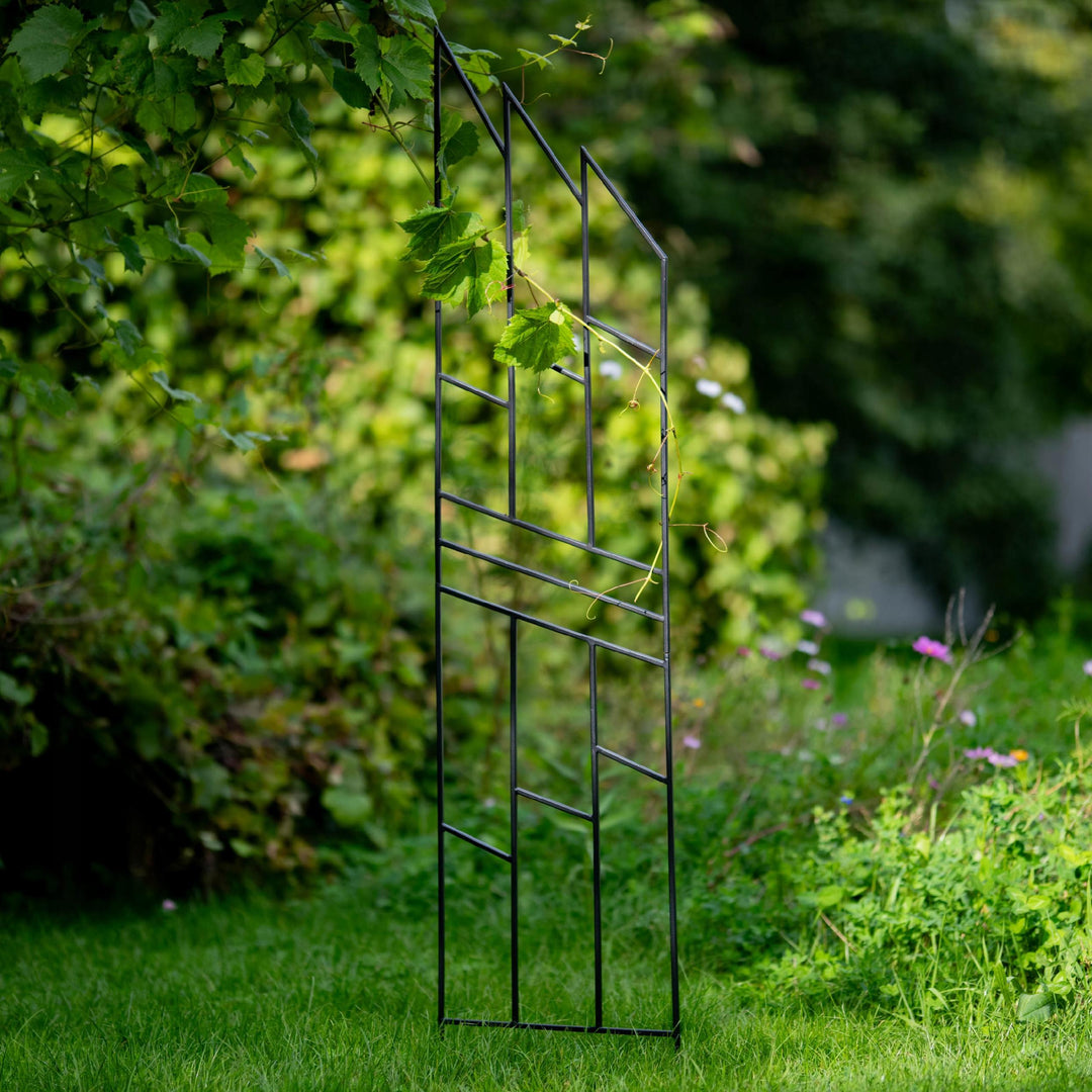Staudenhalter aus Metall – Blumenhalter und Pflanzenstütze, 200 cm