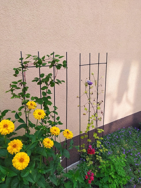 Staudenhalter aus Metall – Blumenhalter und Pflanzenstütze, 150 cm