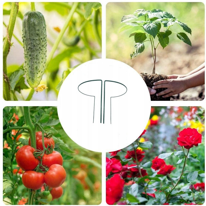 Pflanzenstütze aus Metall 70 cm – Pflanzenhalter für Garten, Beet und Topf Rost, Grun