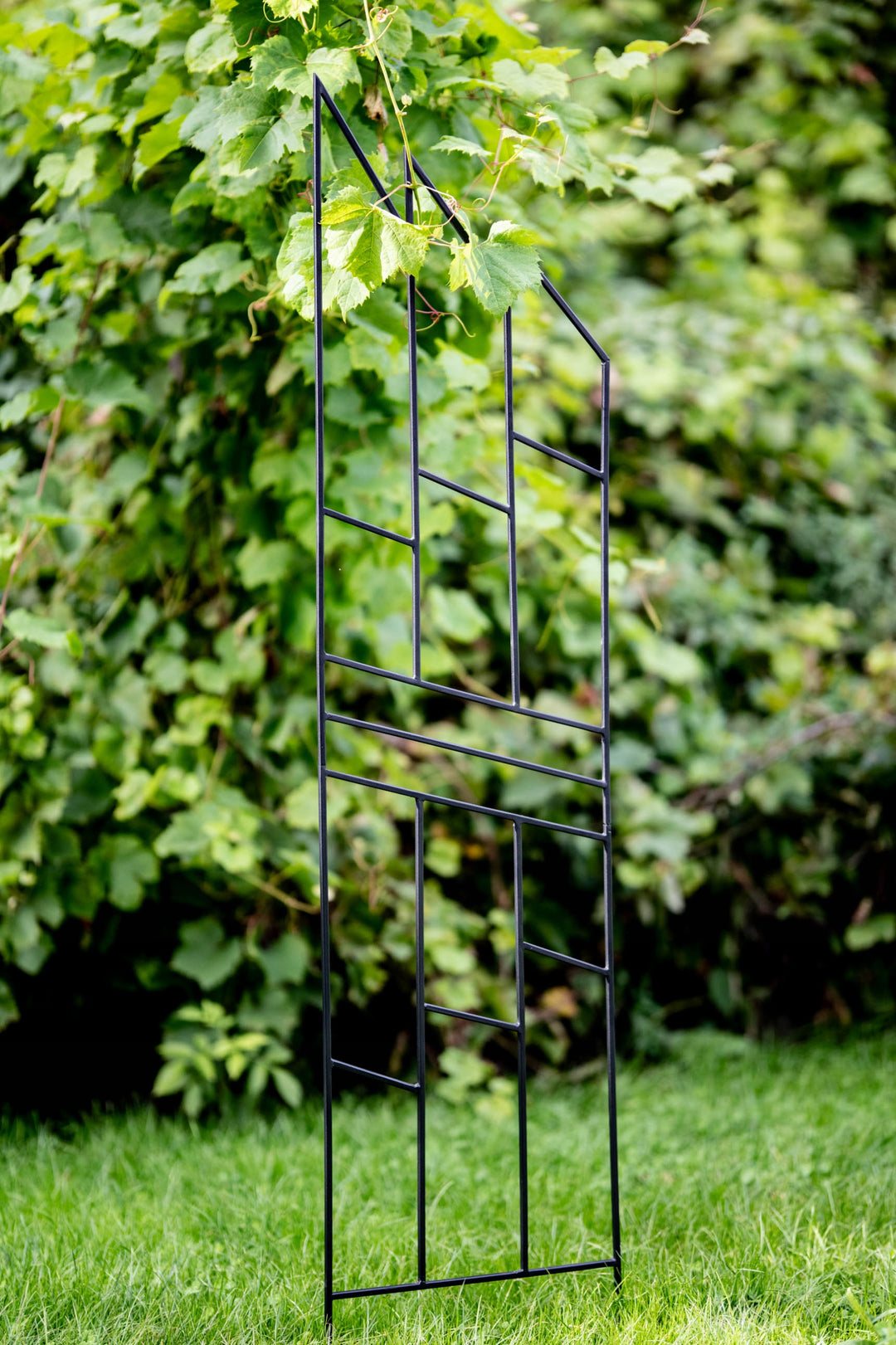 Staudenhalter aus Metall – Blumenhalter und Pflanzenstütze, 200 cm