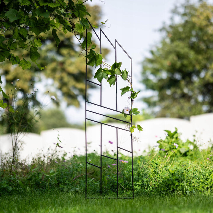 Staudenhalter aus Metall – Blumenhalter und Pflanzenstütze, 200 cm