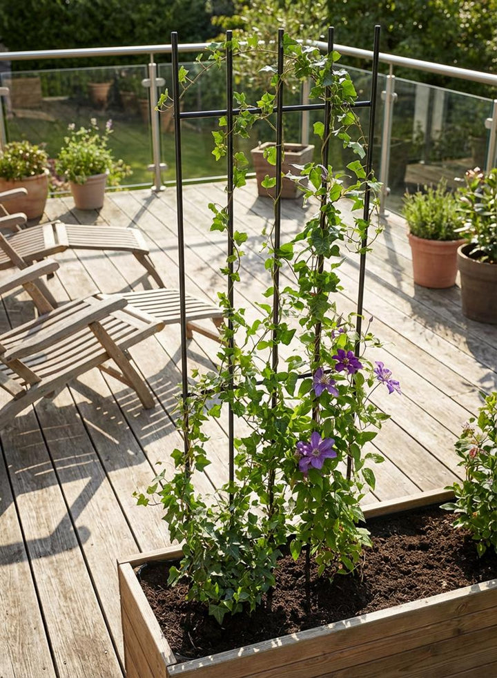 Staudenhalter aus Metall – Blumenhalter und Pflanzenstütze, 150 cm