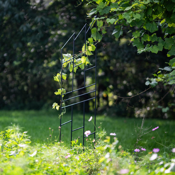 Staudenhalter aus Metall – Blumenhalter und Pflanzenstütze, 200 cm
