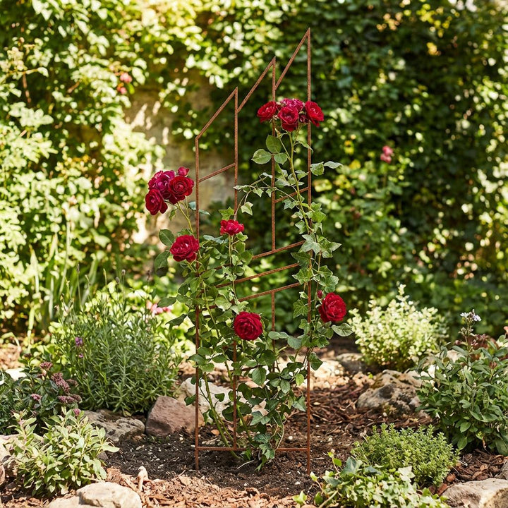 Staudenhalter aus Metall – Blumenhalter und Pflanzenstütze, 200 cm