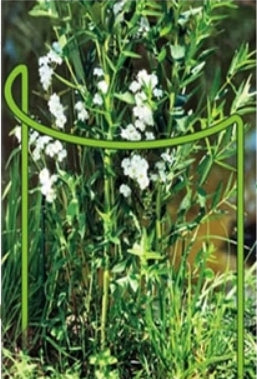 Pflanzenstütze aus Metall 70 cm – Pflanzenhalter für Garten, Beet und Topf Rost, Grun