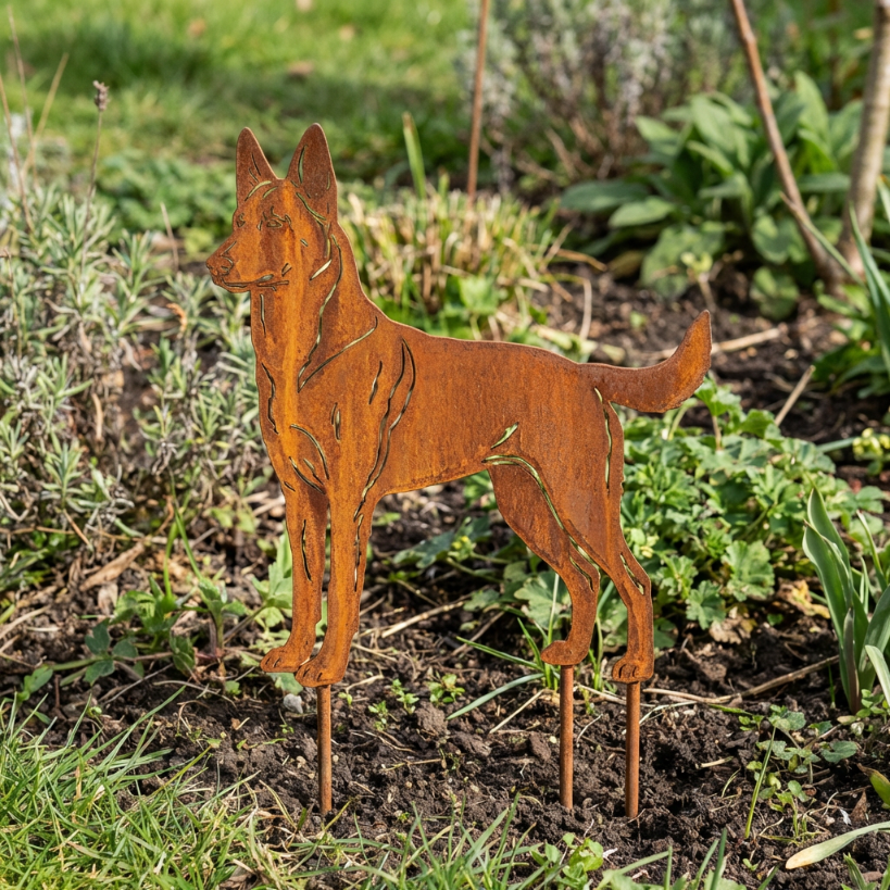 Edelrost Gartenstecker Belgischer Schäferhund (Malinois) – Hundesilhouette aus Metall, 37 cm