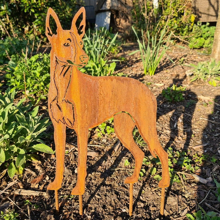Edelrost Gartenstecker Podenco – Hundesilhouette aus Metall, 30 cm
