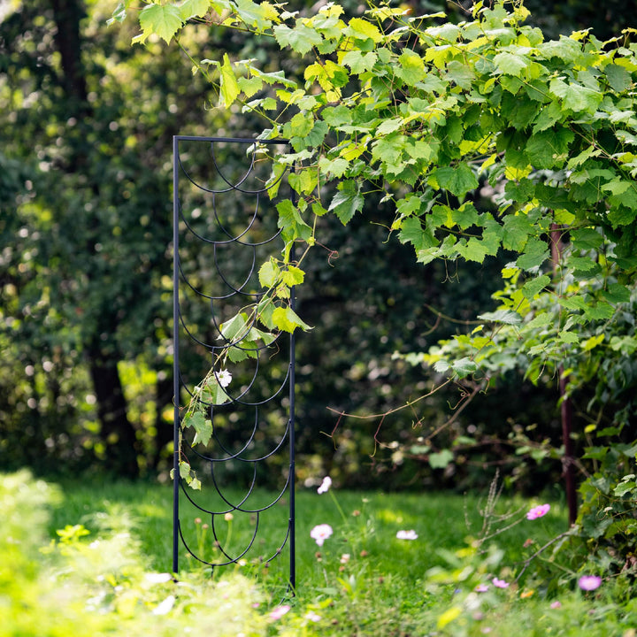 Staudenhalter aus Metall – Blumenhalter und Pflanzenstütze, 200 cm