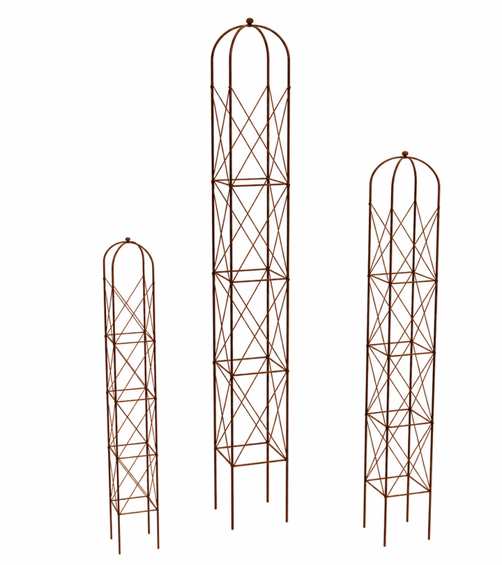 Staudenhalter aus Metall – Blumenhalter und Pflanzenstütze, Rost